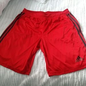 Adidas Climalite mens shorts